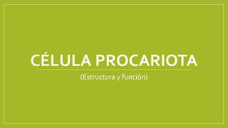 CÉLULA PROCARIOTA
(Estructura y función)
 