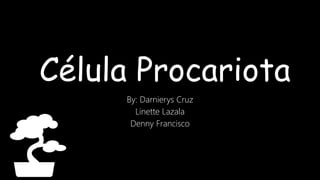 Célula Procariota
By: Darnierys Cruz
Linette Lazala
Denny Francisco
 