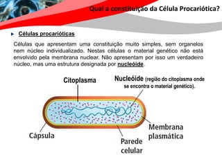 Qual a constituição da Célula Procariótica?


 Células procarióticas
Células que apresentam uma constituição muito simples, sem organelos
nem núcleo individualizado. Nestas células o material genético não está
envolvido pela membrana nuclear. Não apresentam por isso um verdadeiro
núcleo, mas uma estrutura designada por nucleóide.


                  Citoplasma         Nucleóide (região do citoplasma onde
                                         se encontra o material genético).
 