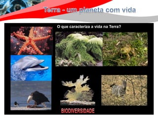 O que caracteriza a vida na Terra?
 