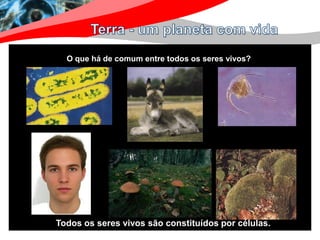 O que há de comum entre todos os seres vivos?




Todos os seres vivos são constituídos por células.
 