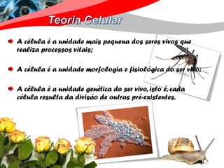 A célula é a unidade mais pequena dos seres vivos que
realiza processos vitais;

A célula é a unidade morfologia e fisiológica do ser vivo;

A célula é a unidade genética do ser vivo, isto é, cada
célula resulta da divisão de outras pré-existentes.
 