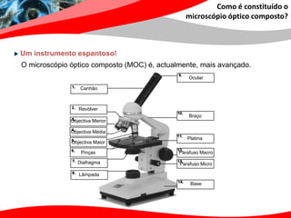 Como é constituído o
                                               microscópio óptico composto?



Um instrumento espantoso!
O microscópio óptico composto (MOC) é, actualmente, mais avançado.
                                                 Ocular

                  Canhão



                 Revólver
                                                 Braço
              Objectiva Menor

              Objectiva Média
                                                Platina
              Objectiva Maior

                  Pinças                     Parafuso Macro

                 Diafragma                   Parafuso Micro

                 Lâmpada
                                                 Base
 