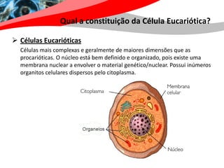 Qual a constituição da Célula Eucariótica?

 Células Eucarióticas
  Células mais complexas e geralmente de maiores dimensões que as
  procarióticas. O núcleo está bem definido e organizado, pois existe uma
  membrana nuclear a envolver o material genético/nuclear. Possui inúmeros
  organitos celulares dispersos pelo citoplasma.
 