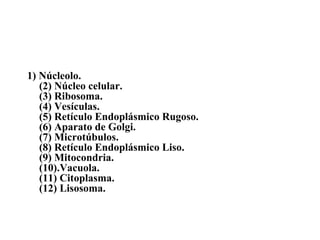 1) Núcleolo.
   (2) Núcleo celular.
   (3) Ribosoma.
   (4) Vesículas.
   (5) Retículo Endoplásmico Rugoso.
   (6) Aparato de Golgi.
   (7) Microtúbulos.
   (8) Retículo Endoplásmico Liso.
   (9) Mitocondria.
   (10).Vacuola.
   (11) Citoplasma.
   (12) Lisosoma.
 