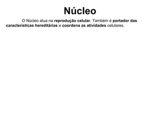 Núcleo
        O Núcleo atua na reprodução celular. Também é portador das
características hereditárias e coordena as atividades celulares.
 