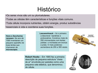Histórico
•Os seres vivos são uni ou pluricelulares.
•Todas as células têm características e funções vitais comuns.
•Toda célula incorpora nutrientes, obtém energia, produz substâncias
•essenciais à vida e coordena suas funções.

                                   Leeuwenhoeck – foi o primeiro
Hans e Zaccharias                   a descrever bactérias e
Janssen- No ano de                  protozoários. Construiu mais de
1590 inventaram um                  250 microscópios com lentes
pequeno aparelho de                 polidas e montadas em bronze
duas lentes que                     e prata. O mais poderoso
chamaram de                         aumentava de 200 a 300 vezes.
microscópio.


                      Robert Hooke – Em 1665 fez a primeira
                      descrição de pequena estrutura “cheia
                      de ar” envolvida por paredes como uma
                      pequena cela elástica, que denominou
                      de célula.
 