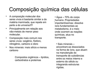 Composição química das células
•   A composição molecular dos               • Água – 70% do corpo
    seres vivos é bastante similar a da
                                           . humano. Propriedades
    matéria inanimada, que repete em         importantíssimas: dissolve
    parte a do universo!!!!                  íons fundamentais ao
•   Principalmente em relação aos            metabolismo, é o meio
    não-metais de menor peso                 onde ocorrem as reações
    molecular.                               químicas, atua no
•   Composição mais comum nos                transporte.
    seres vivos: oxigênio, fósforo,
    nitrogênio, carbono e cloro              • Sais minerais –
•   Nos minerais: mais silício e menos       encontram-se dissociados
    carbono                                  na forma de íons, que atuam
                                             na manutenção do
                                             transporte de substâncias
         Compostos orgânicos – lipídios,
                                             entre os meios interno e
         carboidratos e proteínas
                                             externo da célula ou
                                             integrando estruturas
                                             rígidas.
 