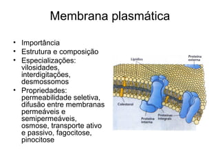 Membrana plasmática

• Importância
• Estrutura e composição
• Especializações:
  vilosidades,
  interdigitações,
  desmossomos
• Propriedades:
  permeabilidade seletiva,
  difusão entre membranas
  permeáveis e
  semipermeáveis,
  osmose, transporte ativo
  e passivo, fagocitose,
  pinocitose
 
