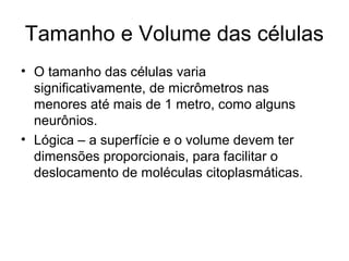 Tamanho e Volume das células
• O tamanho das células varia
  significativamente, de micrômetros nas
  menores até mais de 1 metro, como alguns
  neurônios.
• Lógica – a superfície e o volume devem ter
  dimensões proporcionais, para facilitar o
  deslocamento de moléculas citoplasmáticas.
 