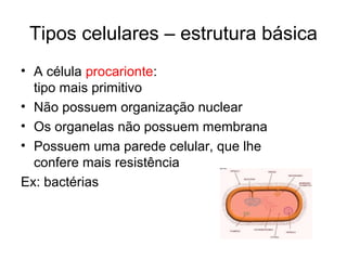 Tipos celulares – estrutura básica
• A célula procarionte:
  tipo mais primitivo
• Não possuem organização nuclear
• Os organelas não possuem membrana
• Possuem uma parede celular, que lhe
  confere mais resistência
Ex: bactérias
 