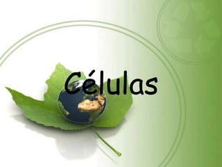 Células
 