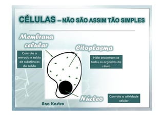 Controla a
entrada e saída
de substâncias
da célula

Nele encontram-se
todos os organitos da
célula

Ana Kastro

Controla a atividade
celular

 