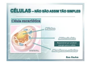 Responsável por produzir
energia para a célula

Ana Kastro

 
