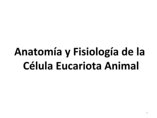 Anatomía y Fisiología de la
Célula Eucariota Animal

1

 