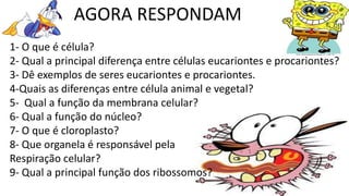 AGORA RESPONDAM
1- O que é célula?
2- Qual a principal diferença entre células eucariontes e procariontes?
3- Dê exemplos de seres eucariontes e procariontes.
4-Quais as diferenças entre célula animal e vegetal?
5- Qual a função da membrana celular?
6- Qual a função do núcleo?
7- O que é cloroplasto?
8- Que organela é responsável pela
Respiração celular?
9- Qual a principal função dos ribossomos?
 