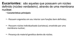 Eucariontes: são aquelas que possuem um núcleo
definido (núcleo verdadeiro), através de uma membrana
nuclear.
• Características principais:
• - Possuem organelas em seu interior com funções bem definidas;
• - Possuem núcleo individualizado (carioteca), envolvido por uma
membrana nuclear;
• - Presença do material genético dentro do núcleo.
 