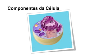 Componentes da Célula
 
