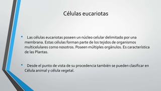 Células eucariotas
• Las células eucariotas poseen un núcleo celular delimitado por una
membrana. Estas células forman parte de los tejidos de organismos
multicelulares como nosotros. Poseen múltiples orgánulos. Es característica
de las Plantas.
• Desde el punto de vista de su procedencia también se pueden clasificar en
Célula animal y célula vegetal.
 