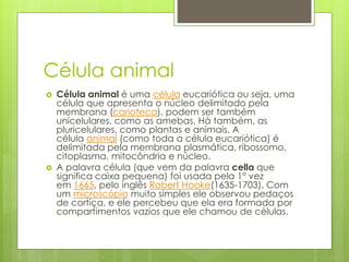 Célula animal
 Célula animal é uma célula eucariótica ou seja, uma
célula que apresenta o núcleo delimitado pela
membrana (carioteca), podem ser também
unicelulares, como as amebas. Há também, as
pluricelulares, como plantas e animais. A
célula animal (como toda a célula eucariótica) é
delimitada pela membrana plasmática, ribossomo,
citoplasma, mitocôndria e núcleo.
 A palavra célula (que vem da palavra cella que
significa caixa pequena) foi usada pela 1° vez
em 1665, pelo inglês Robert Hooke(1635-1703). Com
um microscópio muito simples ele observou pedaços
de cortiça, e ele percebeu que ela era formada por
compartimentos vazios que ele chamou de células.
 