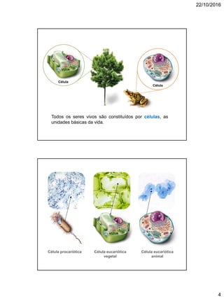 22/10/2016
4
Todos os seres vivos são constituídos por células, as
unidades básicas da vida.
Célula
Célula
Célula procariótica Célula eucariótica
vegetal
Célula eucariótica
animal
 