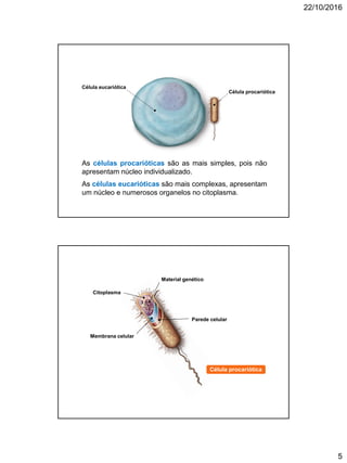 22/10/2016
5
As células procarióticas são as mais simples, pois não
apresentam núcleo individualizado.
As células eucarióticas são mais complexas, apresentam
um núcleo e numerosos organelos no citoplasma.
Célula eucariótica
Célula procariótica
Membrana celular
Material genético
Parede celular
Citoplasma
Célula procariótica
 