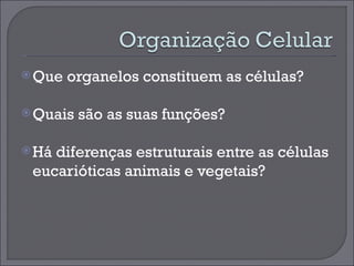 Que organelos constituem as células? Quais são as suas funções? Há diferenças estruturais entre as células eucarióticas animais e vegetais? 