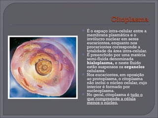 É o espaço intra-celular entre a membrana plasmática e o invólucro nuclear em seres eucariontes, enquanto nos procariontes corresponde a totalidade da área intra-celular.  É preenchido por uma matéria semi-fluída denominada  hialoplasma,  e neste fluido estão suspensos os  organelos  celulares.  Nos eucariontes, em oposição ao protoplasma, o citoplasma não inclui o núcleo celular, cujo interior é formado por nucleoplasma. No geral, citoplasma é  tudo o que compreende a célula menos o núcleo. 