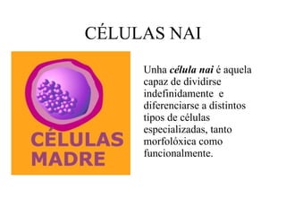 CÉLULAS NAI Unha  célula nai  é  aquela capaz de dividirse  indefinidamente  e diferenciarse a distintos tipos de células especializadas, tanto morfolóxica como funcionalmente. 
