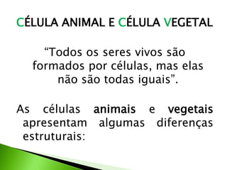CÉLULA ANIMAL E CÉLULA VEGETAL

    “Todos os seres vivos são
  formados por células, mas elas
      não são todas iguais”.

As células animais e vegetais
 apresentam algumas diferenças
 estruturais:
 