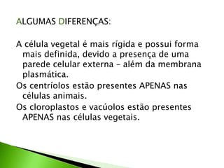 ALGUMAS DIFERENÇAS:

A célula vegetal é mais rígida e possui forma
 mais definida, devido a presença de uma
 parede celular externa – além da membrana
 plasmática.
Os centríolos estão presentes APENAS nas
 células animais.
Os cloroplastos e vacúolos estão presentes
 APENAS nas células vegetais.
 