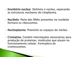    Envoltório nuclear: Delimita o núcleo, separando
    as estruturas nucleares do citoplasma.

   Nucléolo: Parte dos RNAs presentes no nucléolo
    formará os ribossomos.

   Nucleoplasma: Preenche os espaços do núcleo.

   Cromatina: Contém intormações necessárias para
    produção de proteínas, moléculas que atuam no
    funcionamento celular. Formadora de
    cromossomos.
 
