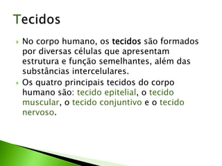    No corpo humano, os tecidos são formados
    por diversas células que apresentam
    estrutura e função semelhantes, além das
    substâncias intercelulares.
   Os quatro principais tecidos do corpo
    humano são: tecido epitelial, o tecido
    muscular, o tecido conjuntivo e o tecido
    nervoso.
 