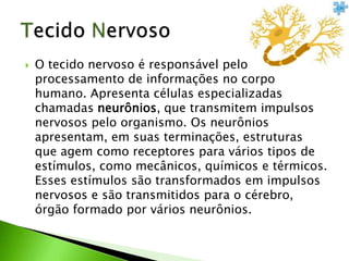    O tecido nervoso é responsável pelo
    processamento de informações no corpo
    humano. Apresenta células especializadas
    chamadas neurônios, que transmitem impulsos
    nervosos pelo organismo. Os neurônios
    apresentam, em suas terminações, estruturas
    que agem como receptores para vários tipos de
    estímulos, como mecânicos, químicos e térmicos.
    Esses estímulos são transformados em impulsos
    nervosos e são transmitidos para o cérebro,
    órgão formado por vários neurônios.
 