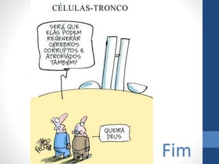 Fim

 