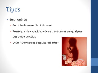 Tipos
• Embrionárias
• Encontradas no embrião humano.
• Possui grande capacidade de se transformar em qualquer
outro tipo de célula.
• O STF autorizou as pesquisas no Brasil.

 
