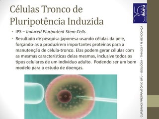 Células Tronco de
Pluripotência Induzida
• IPS – Induced Pluripotent Stem Cells
• Resultado de pesquisa japonesa usando células da pele,
forçando-as a produzirem importantes proteínas para a
manutenção de célula-tronco. Elas podem gerar células com
as mesmas características delas mesmas, inclusive todos os
tipos celulares de um indivíduo adulto. Podendo ser um bom
modelo para o estudo de doenças.
CURSINHOPREPARATÓRIOUFU–BIOLOGIA–THIAGOFNMENDONÇA
 