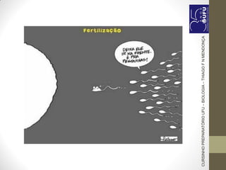 CURSINHOPREPARATÓRIOUFU–BIOLOGIA–THIAGOFNMENDONÇA
 