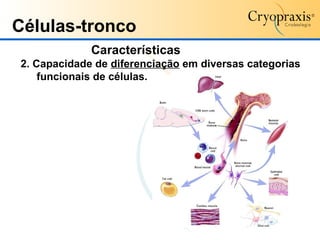 Células-tronco Características 2. Capacidade de  diferenciação  em diversas categorias funcionais de células.  