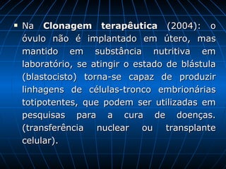 Na  Clonagem terapêutica  (2004): o óvulo não é implantado em útero, mas mantido em substância nutritiva em laboratório, se atingir o estado de blástula (blastocisto) torna-se capaz de produzir linhagens de células-tronco embrionárias totipotentes, que podem ser utilizadas em pesquisas para a cura de doenças. (transferência nuclear ou transplante celular). 