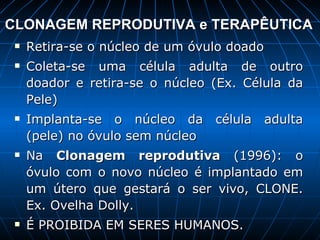 CLONAGEM REPRODUTIVA e TERAPÊUTICA   Retira-se o núcleo de um óvulo doado Coleta-se uma célula adulta de outro doador e retira-se o núcleo (Ex. Célula da Pele)  Implanta-se o núcleo da célula adulta (pele) no óvulo sem núcleo Na  Clonagem reprodutiva  (1996): o óvulo com o novo núcleo é implantado em um útero que gestará o ser vivo, CLONE. Ex. Ovelha Dolly.  É PROIBIDA EM SERES HUMANOS. 