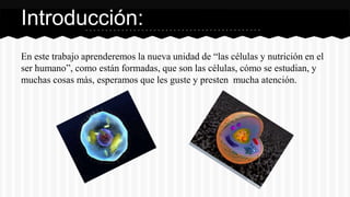 En este trabajo aprenderemos la nueva unidad de “las células y nutrición en el
ser humano”, como están formadas, que son las células, cómo se estudian, y
muchas cosas màs, esperamos que les guste y presten mucha atención.
Introducción:
 