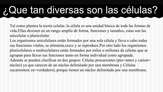 Tal como plantea la teoría celular, la célula es una unidad básica de toda las formas de
vida.Ellas desisten en un rango amplio de forma, funciones y tamaños, estas son las
unicelular o pluricelular.
Los organismos unicelulares están formados por una sola célula y lleva a cabo todas
sus funciones vitales, se alimenta,crece y se reproduce.Por otro lado los organismos
pluricelulares o multicelulares están formados por miles o millones de células que se
agrupan para llevar sus funciones tanto en forma individual como agrupada.
Además se pueden clasificar en dos grupos: Células procariontes (pro=antes y carion=
núcleo) ya que carecen de un núcleo delimitado por una membrana y Células
eucariontes( eu=verdadero), porque tienen un núcleo delimitado por una membrana.
¿Que tan diversas son las células?
 