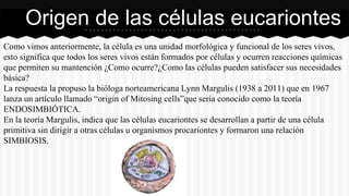 Como vimos anteriormente, la célula es una unidad morfológica y funcional de los seres vivos,
esto significa que todos los seres vivos están formados por células y ocurren reacciones químicas
que permiten su mantención ¿Como ocurre?¿Como las células pueden satisfacer sus necesidades
básica?
La respuesta la propuso la bióloga norteamericana Lynn Margulis (1938 a 2011) que en 1967
lanza un artículo llamado “origin of Mitosing cells”que sería conocido como la teoría
ENDOSIMBIÓTICA.
En la teoría Margulis, indica que las células eucariontes se desarrollan a partir de una célula
primitiva sin dirigir a otras células u organismos procariontes y formaron una relación
SIMBIOSIS.
Origen de las células eucariontes
 