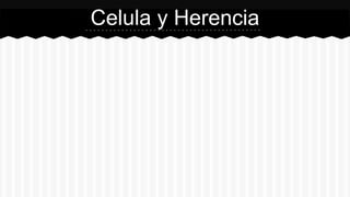 Celula y Herencia
 