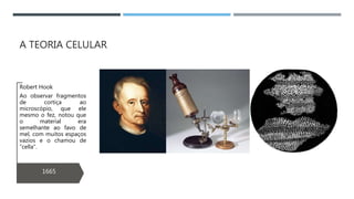 A TEORIA CELULAR
1665
Robert Hook
Ao observar fragmentos
de cortiça ao
microscópio, que ele
mesmo o fez, notou que
o material era
semelhante ao favo de
mel, com muitos espaços
vazios e o chamou de
“cella”.
 