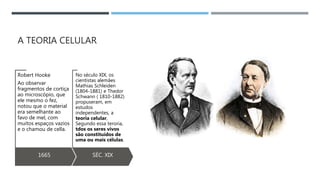 A TEORIA CELULAR
1665
Robert Hooke
Ao observar
fragmentos de cortiça
ao microscópio, que
ele mesmo o fez,
notou que o material
era semelhante ao
favo de mel, com
muitos espaços vazios
e o chamou de cella.
SÉC. XIX
No século XIX, os
cientistas alemães
Mathias Schleiden
(1804-1881) e Thedor
Schwann ( 1810-1882)
propuseram, em
estudos
independentes, a
teoria celular,
Segundo essa teroria,
tdos os seres vivos
são constituídos de
uma ou mais células.
 