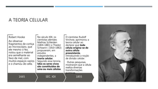 A TEORIA CELULAR
1665
Robert Hooke
Ao observar
fragmentos de cortiça
ao microscópio, que
ele mesmo o fez,
notou que o material
era semelhante ao
favo de mel, com
muitos espaços vazios
e o chamou de cella.
SÉC. XIX
No século XIX, os
cientistas alemães
Mathias Schleiden
(1804-1881) e Thedor
Schwann ( 1810-1882)
propuseram, em
estudos
independentes, a
teoria celular,
Segundo essa teroria,
tdos os seres vivos
são constituídos de
uma ou mais células.
1855
O cientistas Rudolf
Virchow, aprimorou a
teoria celular ao
declarar que toda
célula origina-se de
outra célula
preexistente,
introduzindo a noção
de divisão celular.
Outras pesquisas,
mostraram que a célula
realiza diversas
transformações
químicas.
 