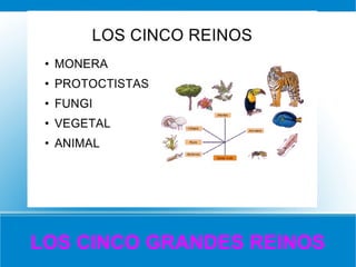 LOS CINCO GRANDES REINOS
 