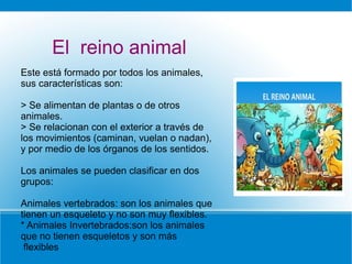 El reino animal
Este está formado por todos los animales,
sus características son:
> Se alimentan de plantas o de otros
animales.
> Se relacionan con el exterior a través de
los movimientos (caminan, vuelan o nadan),
y por medio de los órganos de los sentidos.
Los animales se pueden clasificar en dos
grupos:
Animales vertebrados: son los animales que
tienen un esqueleto y no son muy flexibles.
* Animales Invertebrados:son los animales
que no tienen esqueletos y son más
flexibles
 